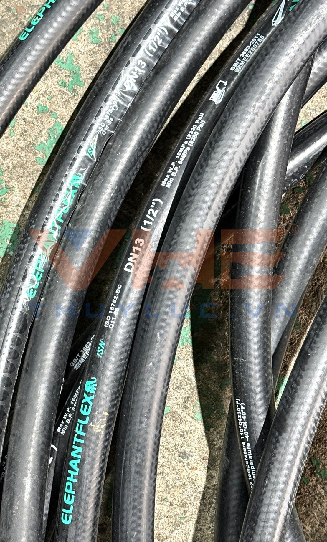 Elephant Flex Glossy Hose