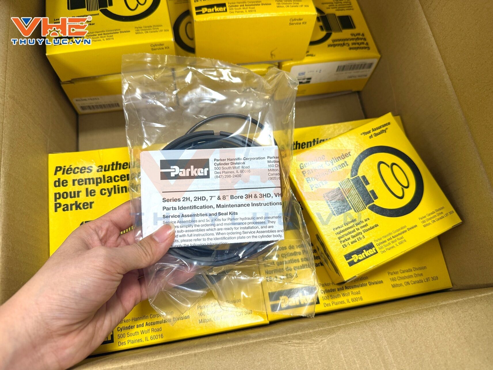 Genuine Parker Seals and O-rings in Vietnam