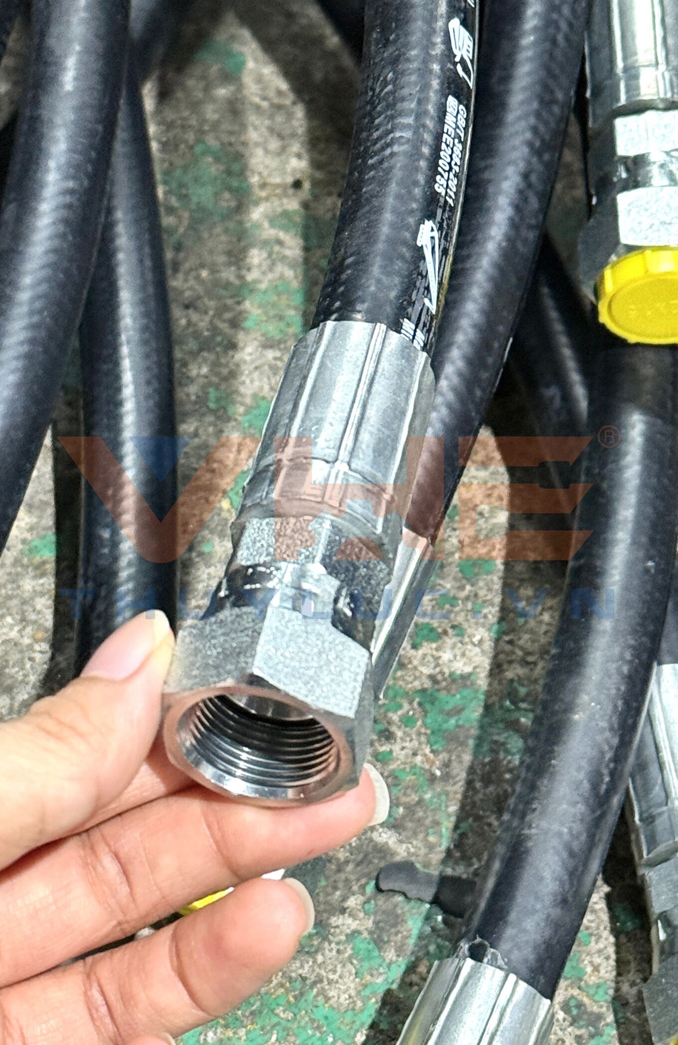 Elephant Flex Glossy Hose with KMS Crimped Fittings
